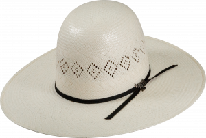 1740 - Colorado Rocky