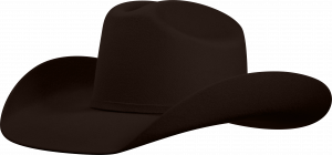 5032 BROWN BEAR