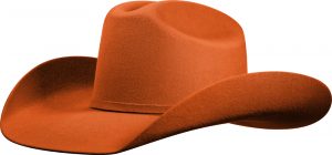 5029 CARROT RANCH KIDS
