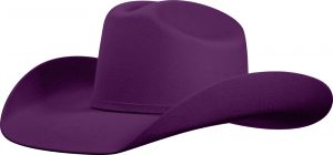 5030 - Violet Ranger